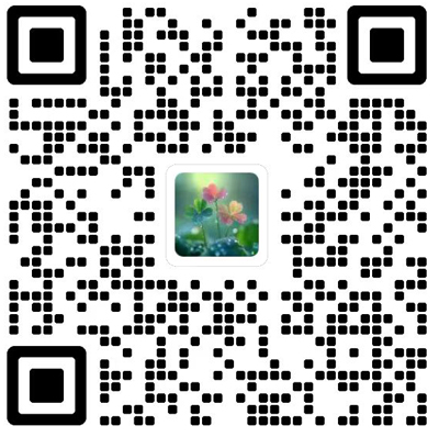 International Journal of Disaster Risk Science杂志模板